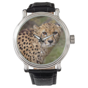 Cheetah Watch Armbanduhr