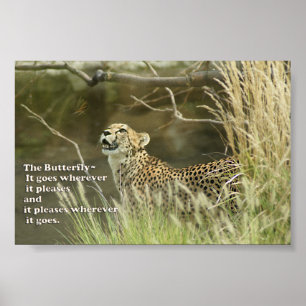 CHEETAH WATCHSCHALTFLY POSTER PROVERB
