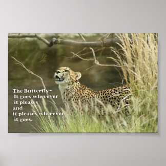 CHEETAH WATCHSCHALTFLY POSTER PROVERB