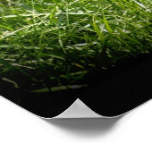 Cheetah Wild Cat Animal-Lover Wildlife Poster (Ecke)