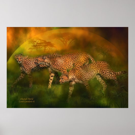 Cheetah World Art Poster/Print Poster (Vorne)