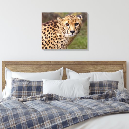 Cheetah Wrapped Canvas Print Leinwanddruck (Insitu (Schlafzimmer))