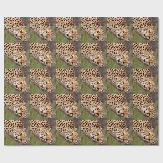 Cheetah Wrapping Paper Geschenkpapier (Flach)