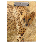 Cheetah/Zwischenablage Klemmbrett (Vorderseite)