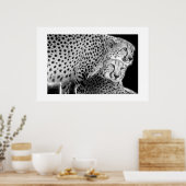 Cheetahs #1 poster (Küche)