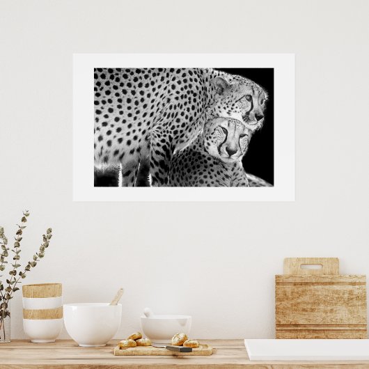 Cheetahs #1 poster (Küche)