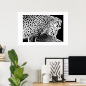 Cheetahs #1 poster (Heimbüro)