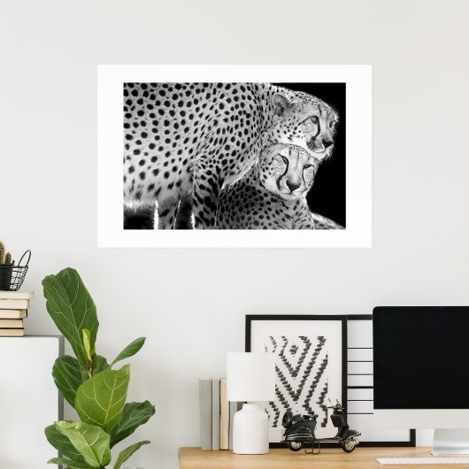 Cheetahs #1 poster (Heimbüro)