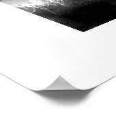 Cheetahs #1 poster (Ecke)