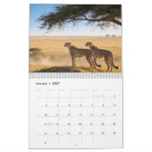 Cheetahs 2027 Wandkalender (Jan 2027)