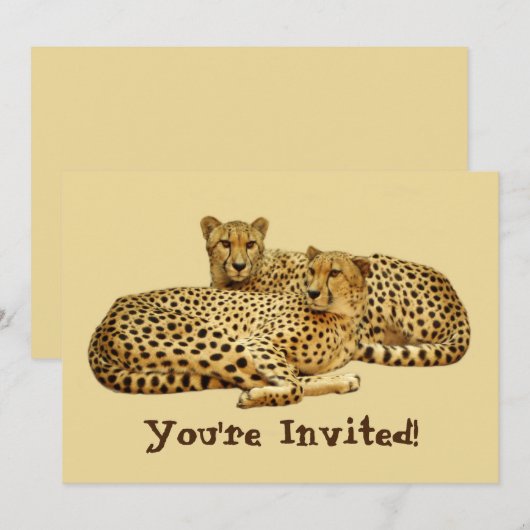 Cheetahs Einladung (Vorne/Hinten)