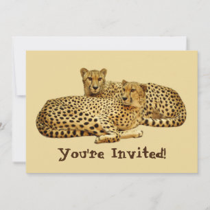 Cheetahs Einladung