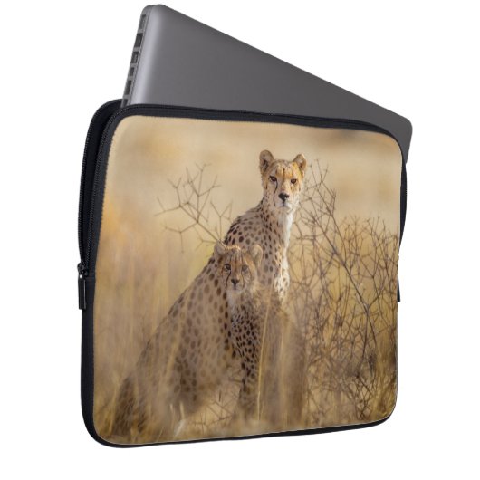 Cheetahs Laptopschutzhülle (Vorne Rechts)
