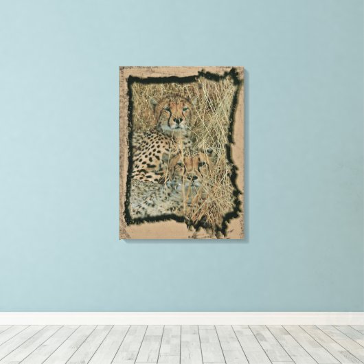 Cheetahs Leinwanddruck (Insitu (Holzboden))