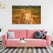 Cheetahs Leinwanddruck (Insitu (Wohnzimmer))