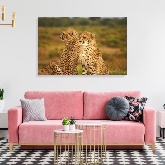 Cheetahs Leinwanddruck (Insitu (Wohnzimmer))