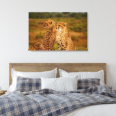Cheetahs Leinwanddruck (Insitu (Schlafzimmer))