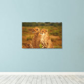 Cheetahs Leinwanddruck (Insitu (Holzboden))