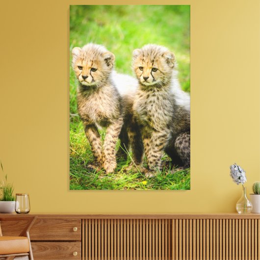 Cheetahs Leinwanddruck (Insitu (Wohnzimmer))