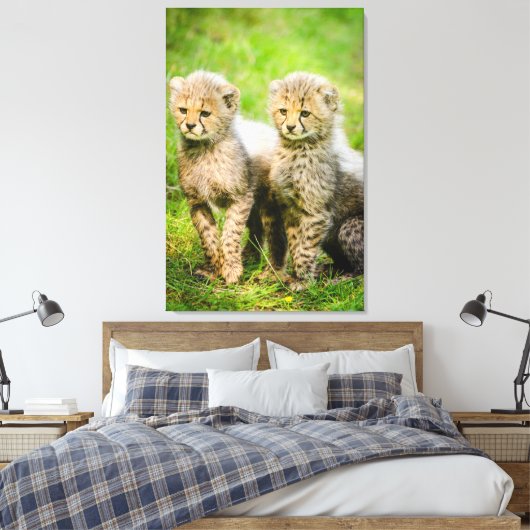 Cheetahs Leinwanddruck (Insitu (Schlafzimmer))