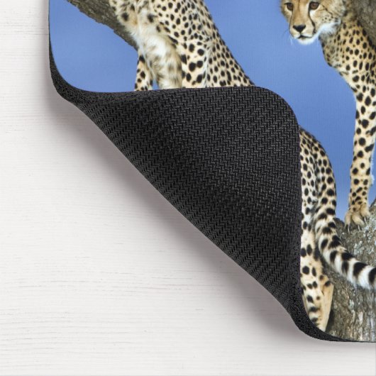 Cheetahs Mousepad (Ecke)