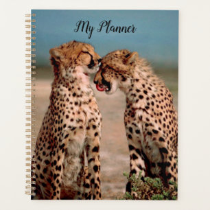 Cheetahs Planer
