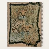 Cheetahs Planer (Rückseite)