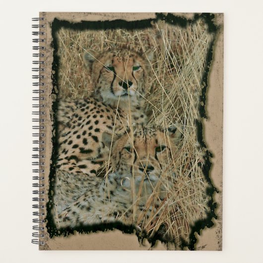 Cheetahs Planer (Vorderseite)