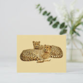 Cheetahs Postkarte (Stehend Vorderseite)