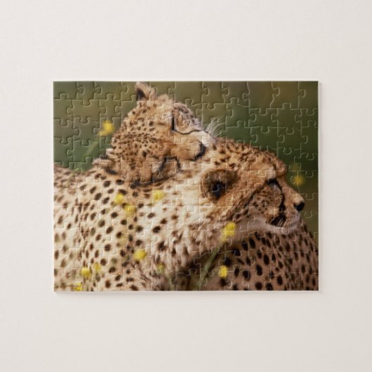 Cheetahs Puzzle (Horizontal)