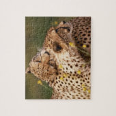 Cheetahs Puzzle (Vertikal)