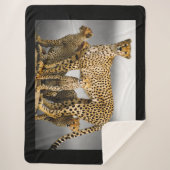 Cheetahs Sherpadecke (Vorderseite)