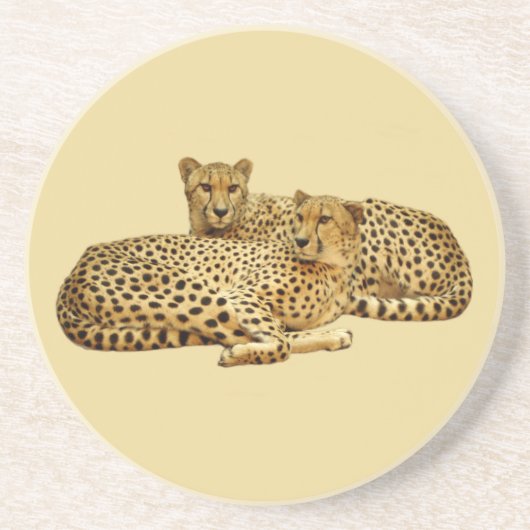 Cheetahs Untersetzer (Vorne)
