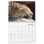 Cheetahs Wall Calendar Kalender (Mär 2027)
