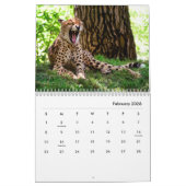 Cheetahs Wall Calendar Kalender (Feb 2026)