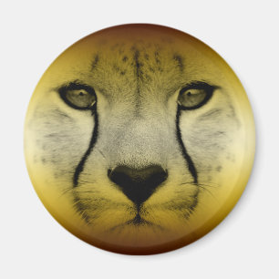 CHEETATISCHES GESICHT MAGNET