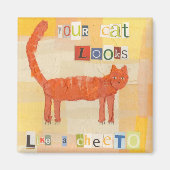 Cheeto Cat Magnet (Vorne)