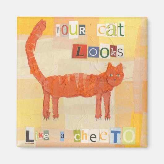 Cheeto Cat Magnet (Vorne)