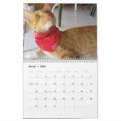 Cheeto Dacutecat 2020 Kalender (Mär 2026)