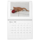 Cheeto Dacutecat 2020 Kalender (Feb 2026)