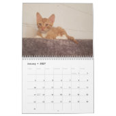 Cheeto Dacutecat 2020 Kalender (Jan 2027)
