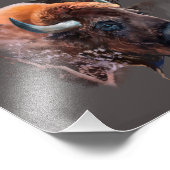 Chef eines europäischen Bison Fotodruck (Ecke)