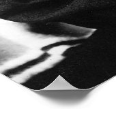 Chef Husis-Moxmox: c1900 Poster (Ecke)