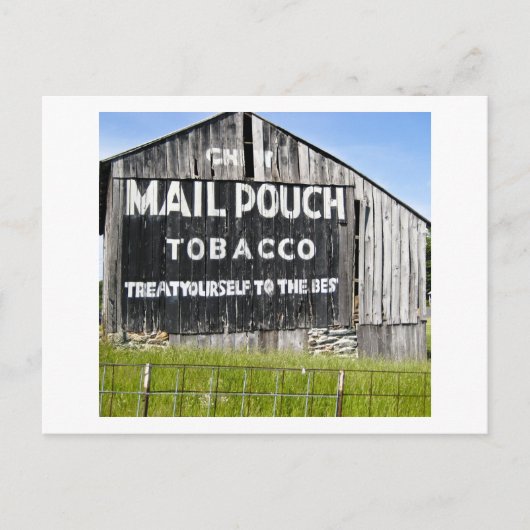 Chef Mail Pouch Tobacco, alter Stall Postkarte (Vorderseite)
