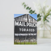 Chef Mail Pouch Tobacco Barn Postkarte (Stehend Vorderseite)