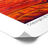 Chefs einheimischer amerikanische Ureinwohner von Poster (Ecke)