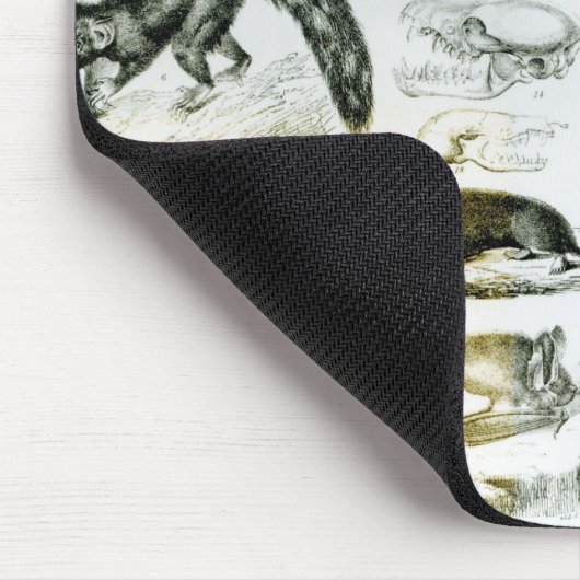Cheiroptera, Insectivora Mousepad (Ecke)