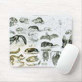 Cheiroptera, Insectivora Mousepad (Mit Mouse)