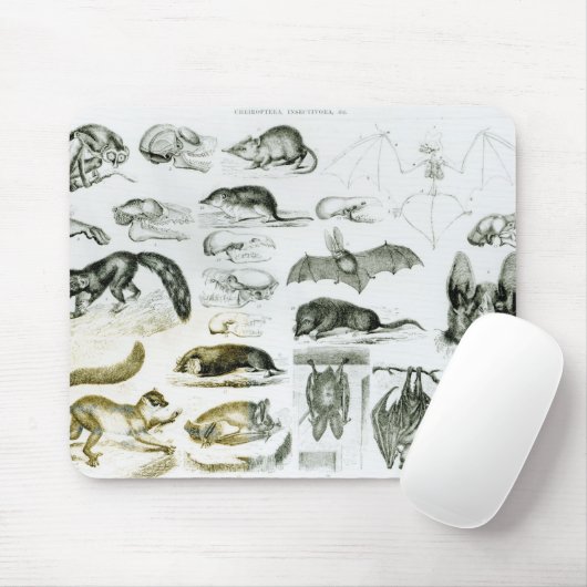 Cheiroptera, Insectivora Mousepad (Mit Mouse)