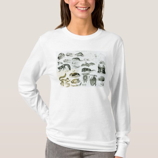 Cheiroptera, Insectivora T-Shirt (Vorderseite)